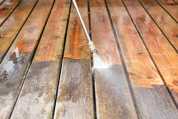 Animal Enclosure Cleaning in East Palestine, OH